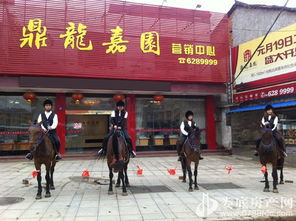 歡樂五一，來鼎龍嘉園免費(fèi)騎馬玩?。埬緲I(yè)邀您共度佳節(jié)